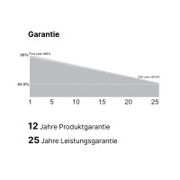 DMEGC 405Wp HBW schwarz 2