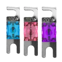 Victron 5er Set 100A 32V MIDI Fuse DC Si gallery