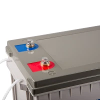 Victron Blei-Kohlenstoff Batterie 12V 160Ah (M8) 2