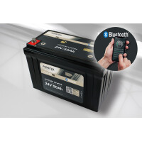 FORSTER 50Ah 25,6V Lithium Fishing Batte gallery