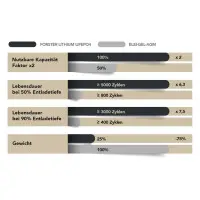 FORSTER 50Ah 25,6V Lithium Fishing Batterie BMS Smart Blueto
