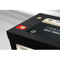 FORSTER 100Ah 38,4V Lithium Fishing Batterie BMS Smart Bluet