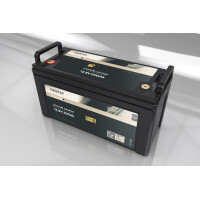 FORSTER 200Ah 12,8V LiFePO4 Premium Batt gallery