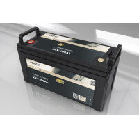 FORSTER 100Ah 25,6V LiFePO4 Premium Batt gallery