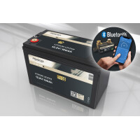 FORSTER 100Ah 12,8V LiFePO4 Premium Batt gallery