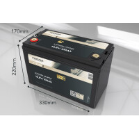 FORSTER 100Ah 12,8V LiFePO4 Premium Batterie 200A-BMS-2.1 50