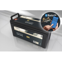 FORSTER 200Ah 12,8V LiFePO4 Premium Batt gallery