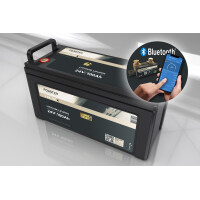 FORSTER 100Ah 25,6V LiFePO4 Premium Batt gallery