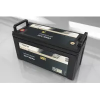 FORSTER 100Ah 25,6V LiFePO4 Premium Batterie 200A-BMS-2.0 50