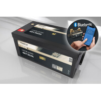 FORSTER 50Ah 51,2V LiFePO4 Premium Batte gallery