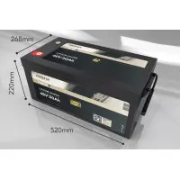 FORSTER 50Ah 51,2V LiFePO4 Premium Batterie 200A-BMS-2.0 500