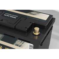 FORSTER 100Ah 12,8V LiFePO4 Premium Untersitz-Batterie 200A-