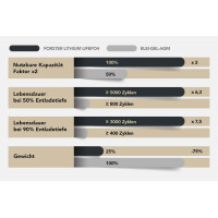 FORSTER 200Ah 12,8V LiFePO4 Premium Untersitz-Batterie 200A-