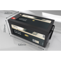 FORSTER 300Ah 12,8V LiFePO4 Premium Batterie 200A-BMS-2.1 38