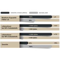 FORSTER 300Ah 12,8V LiFePO4 Premium Batterie 200A-BMS-2.1 38