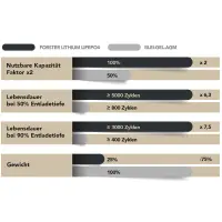 FORSTER 300Ah 12,8V LiFePO4 Premium Batterie 200A-BMS-2.0 38