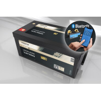 FORSTER 300Ah 12,8V LiFePO4 Premium Batt gallery