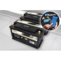 FORSTER 300Ah 12,8V LiFePO4 Premium Batt gallery