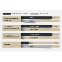 FORSTER 320Ah 12,8V LiFePO4 Premium Untersitz Batterie 300A-