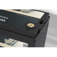 FORSTER 180Ah 12,8V LiFePO4 Premium Batterie 200A-BMS-2.1 50