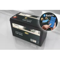 FORSTER 180Ah 12,8V LiFePO4 Premium Batterie 200A-BMS-2.0 50