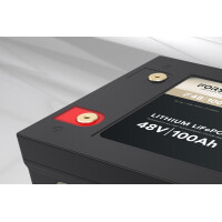FORSTER 100Ah 51,2V LiFePO4 Premium Batterie 200A-BMS-2.1 50