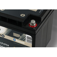 FORSTER 50Ah 12,8V LiFePO4 Standard Batterie 50A-BMS Smart B