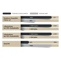 FORSTER 50Ah 12,8V LiFePO4 Standard Batterie 50A-BMS Smart B
