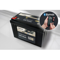 FORSTER 50Ah 25,6V LiFePO4 Standard Batt gallery
