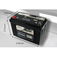 FORSTER 50Ah 25,6V LiFePO4 Standard Batterie 50A-BMS Smart B