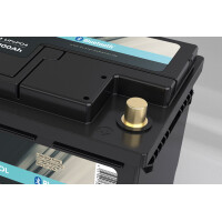 FORSTER 100Ah 12,8V LiFePO4 Standard Batterie 100A-BMS Smart