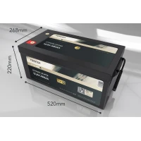 FORSTER 480Ah 12,8V LiFePO4 Premium Batterie 300A-BMS-2.0 50