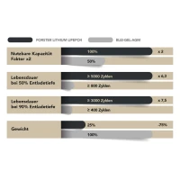 FORSTER 480Ah 12,8V LiFePO4 Premium Batterie 300A-BMS-2.0 50