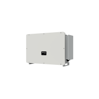 SolaX X3-FTH-110K mit AFCI FORTH String-Wechselrichter 110 k