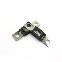 WATTSTUNDE® ANM Hochlast-Streifen-Sicherung 2 x 60 A 2
